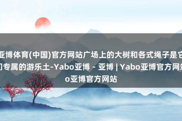 亚博体育(中国)官方网站广场上的大树和各式绳子是它们专属的游乐土-Yabo亚博 - 亚博 | Yabo亚博官方网站