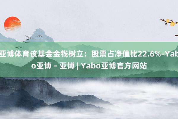 亚博体育该基金金钱树立：股票占净值比22.6%-Yabo亚博 - 亚博 | Yabo亚博官方网站