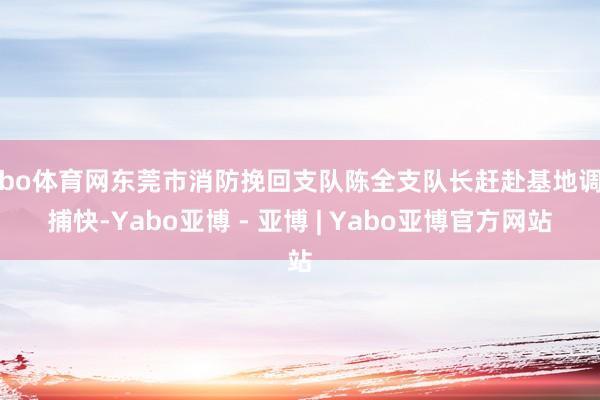 亚bo体育网东莞市消防挽回支队陈全支队长赶赴基地调研捕快-Yabo亚博 - 亚博 | Yabo亚博官方网站