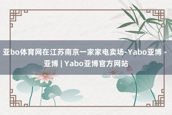 亚bo体育网在江苏南京一家家电卖场-Yabo亚博 - 亚博 | Yabo亚博官方网站
