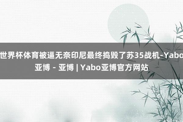 世界杯体育被逼无奈印尼最终捣毁了苏35战机-Yabo亚博 - 亚博 | Yabo亚博官方网站