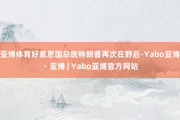 亚博体育　　好意思国总统特朗普再次在野后-Yabo亚博 - 亚博 | Yabo亚博官方网站