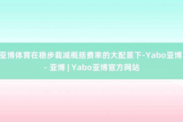 亚博体育在稳步裁减概括费率的大配景下-Yabo亚博 - 亚博 | Yabo亚博官方网站
