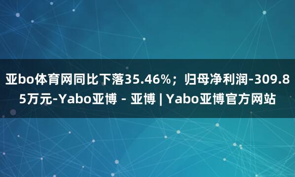 亚bo体育网同比下落35.46%；归母净利润-309.85万元-Yabo亚博 - 亚博 | Yabo亚博官方网站
