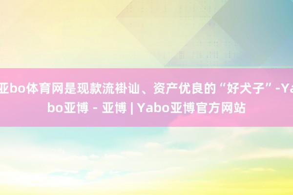 亚bo体育网是现款流褂讪、资产优良的“好犬子”-Yabo亚博 - 亚博 | Yabo亚博官方网站